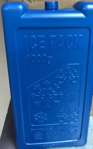 Camping Ice Brick 1000g