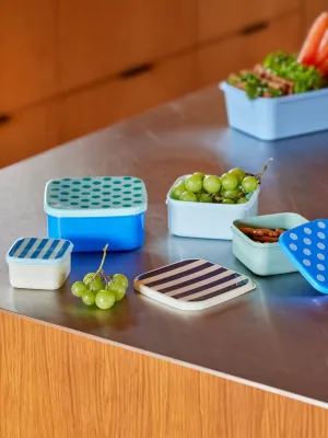 Square Food Boxes - Multicolor - Set of 4