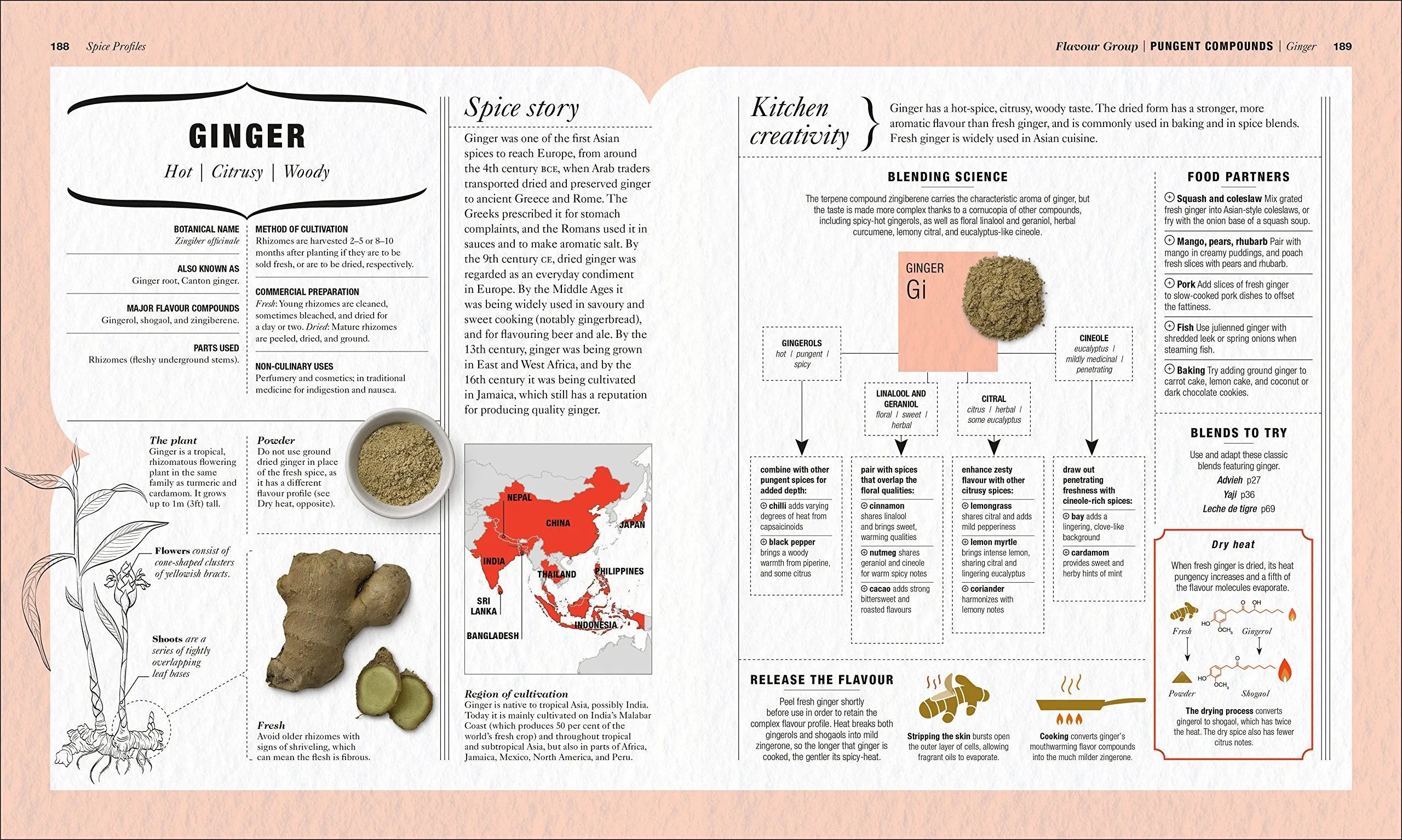 The Science of Spice: Understand Flavor Connections and Revolutionize Your Cooking (Dr. Stuart Farrimond)